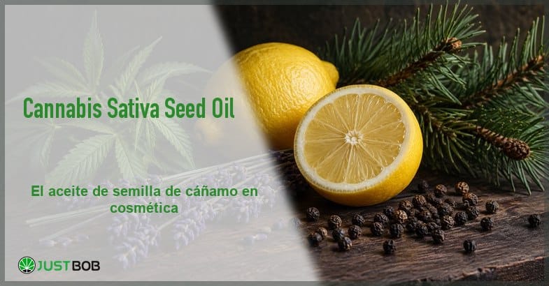 banner-cannabis-sativa-seed-oil-botanicos Banner del artículo con título verde y logo Justbob sobre un bodegón de limón, pino, espliego y hojas de cáñamo