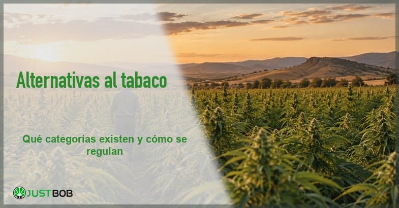 Banner del artículo con título verde y logo Justbob sobre un campo de cáñamo al atardecer, con colinas al fondo