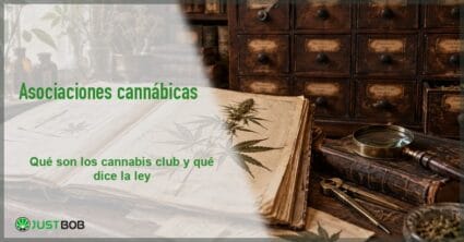Banner del artículo con título verde y logo Justbob; a la derecha, un herbario abierto y un mueble de boticario