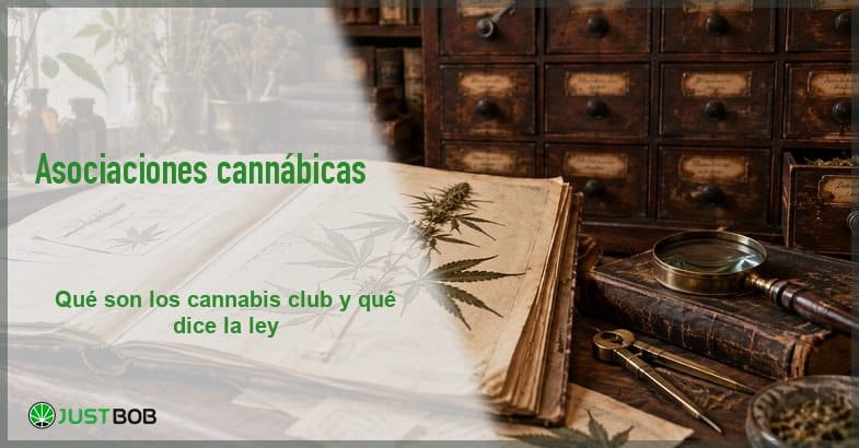 banner-asociaciones-cannabicas-herbario Banner del artículo con título verde y logo Justbob; a la derecha, un herbario abierto y un mueble de boticario