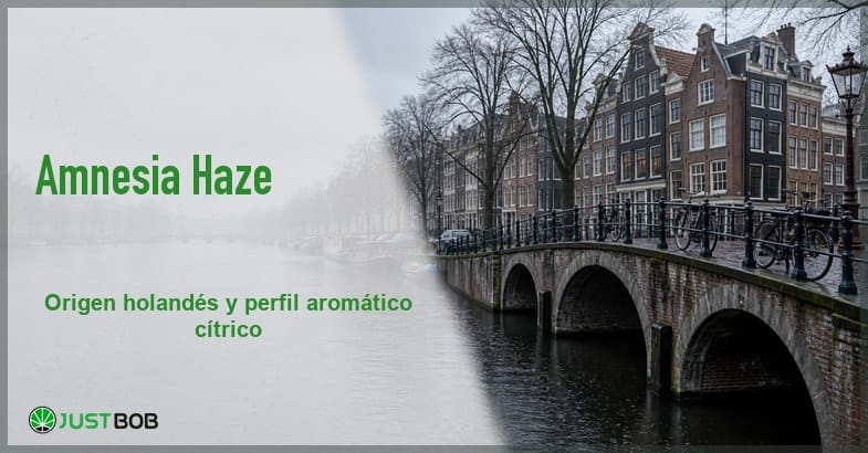 Banner del artículo con título verde y logo Justbob; a la derecha, un canal de estilo neerlandés en un día gris de invierno