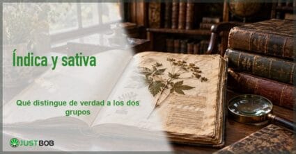 Banner del artículo con título verde y logo Justbob; a la derecha, un herbario antiguo abierto sobre una mesa