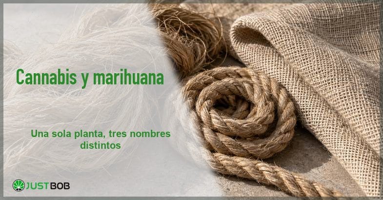 Banner del artículo con título verde y logo Justbob; a la derecha, fibra vegetal en bruto, cuerda y tela sin teñir