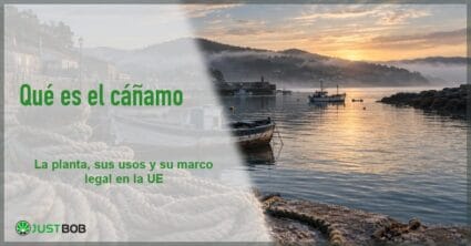 Banner del artículo con título verde y logo Justbob; a la derecha, un puerto pesquero con cuerdas de cáñamo