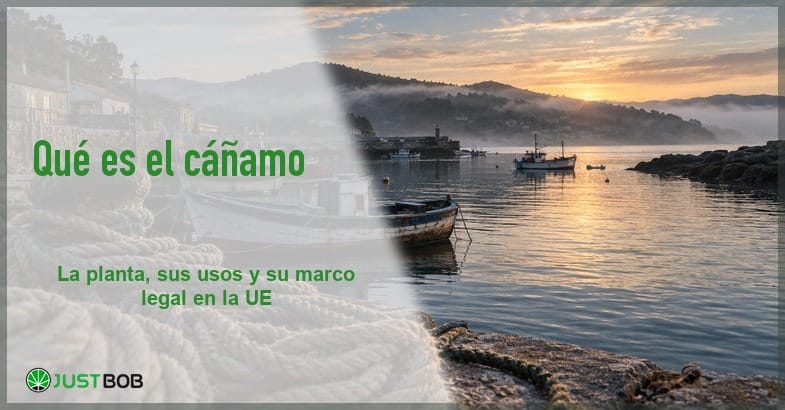 Banner del artículo con título verde y logo Justbob; a la derecha, un puerto pesquero con cuerdas de cáñamo