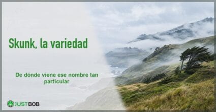 Banner del artículo con título verde y logo Justbob; a la derecha, una costa con colinas verdes y niebla baja