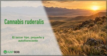 Banner del artículo con título verde y logo Justbob; foto a la derecha: un paisaje de estepa con colinas y montañas al atardecer