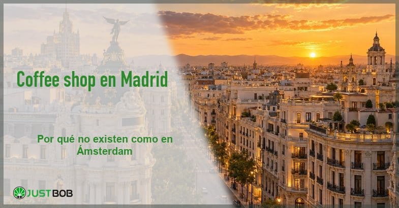 featured-coffee-shop-madrid Banner del artículo con título verde y logo Justbob; foto a la derecha: una vista del centro de Madrid al atardecer