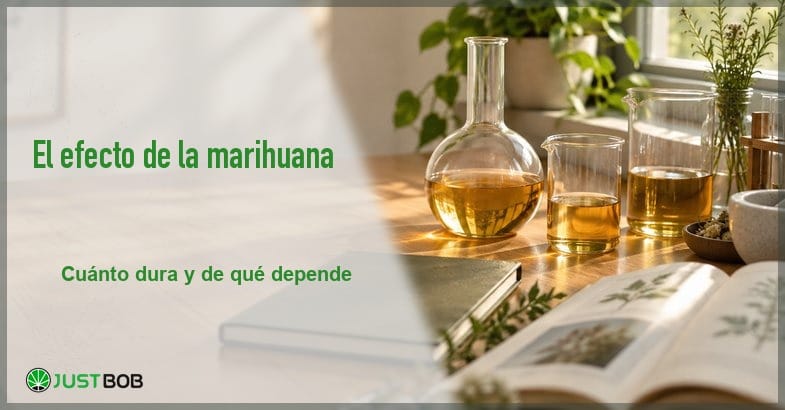 featured-cuanto-dura-el-efecto-de-la-marihuana Banner del artículo con título verde y logo Justbob; foto a la derecha: material de laboratorio de cristal y libros sobre una mesa de madera