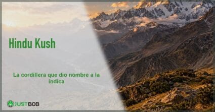 Banner del artículo con título verde y logo Justbob; foto a la derecha: cordillera del Hindu Kush al atardecer